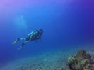 Hawaii Scuba divng 20