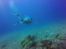 Hawaii Scuba divng 21