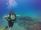 Hawaii Scuba divng 22