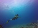 Hawaii Scuba divng 24