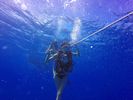 Hawaii Scuba divng 13