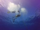 Hawaii Scuba divng 15