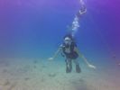 Hawaii Scuba divng 18