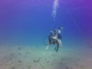 Hawaii Scuba divng 20