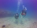 Hawaii Scuba divng 30