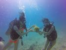 Hawaii Scuba divng 33