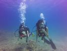 Hawaii Scuba divng 35