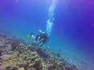 Hawaii Scuba divng 37