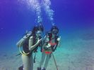 Hawaii Scuba divng 39