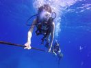 Hawaii Scuba divng 40