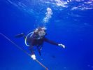 Hawaii Scuba divng 47