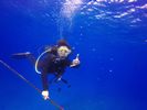 Hawaii Scuba divng 48