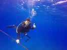 Hawaii Scuba divng 49