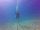 Hawaii Scuba divng 56