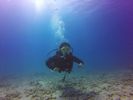 Hawaii Scuba divng 59