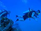 Hawaii Scuba divng 19