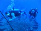 Hawaii Scuba divng 37