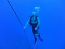 Hawaii Scuba divng 40