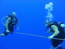 Hawaii Scuba divng 41