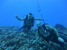 Hawaii Scuba divng 54