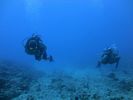 Hawaii Scuba divng 56