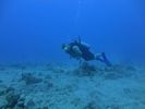 Hawaii Scuba divng 56