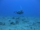 Hawaii Scuba divng 57