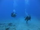 Hawaii Scuba divng 62