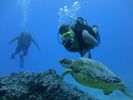 Hawaii Scuba divng 69