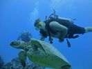 Hawaii Scuba divng 70