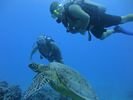 Hawaii Scuba divng 71