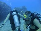 Hawaii Scuba divng 74