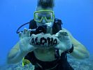 Hawaii Scuba divng 80