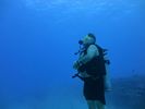 Hawaii Scuba divng 87