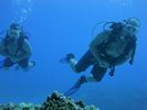 Hawaii Scuba divng 89