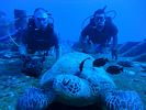 Hawaii Scuba divng 12