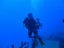 Hawaii Scuba divng 19