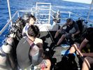 Hawaii Scuba divng 02