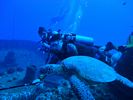 Hawaii Scuba divng 30