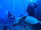 Hawaii Scuba divng 31