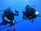 Hawaii Scuba divng 39