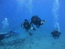 Hawaii Scuba divng 54