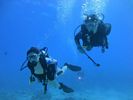 Hawaii Scuba divng 56