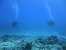 Hawaii Scuba divng 57