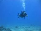 Hawaii Scuba divng 59