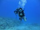 Hawaii Scuba divng 63