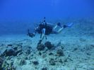 Hawaii Scuba divng 64