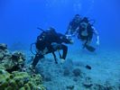 Hawaii Scuba divng 66