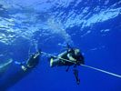 Hawaii Scuba divng 06