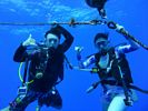 Hawaii Scuba divng 07